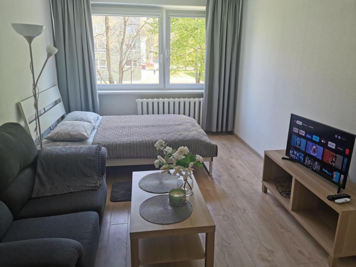 Modern Studio Debreceno, Self-Check-In, Free Parking Klaipėda Kültér fotó